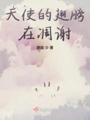 天使的翅膀碎了作者