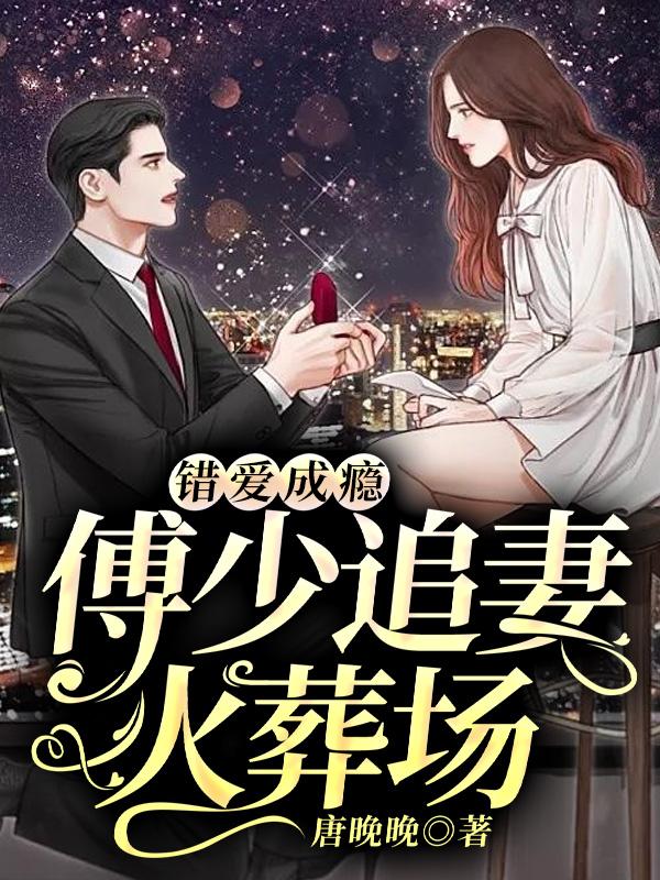 傅少霸爱成婚
