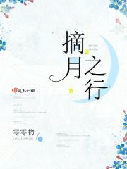 摘星与月作者