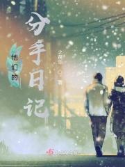 分手日记电影