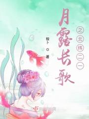 北纬29°