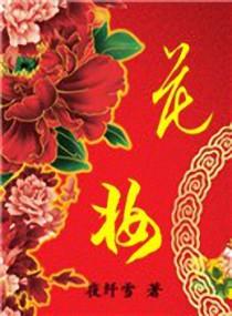 娘子意何如第二年