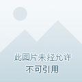 是否真的能修仙