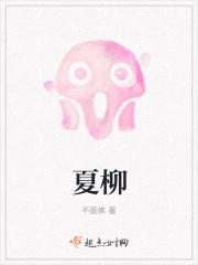 夏柳青什么水平