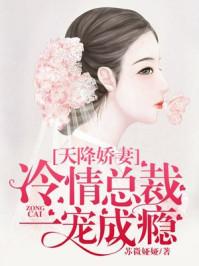 天降娇妻总裁霸道宠(全文免费阅读)