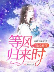 等风等你归来