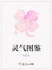 灵气物品介绍